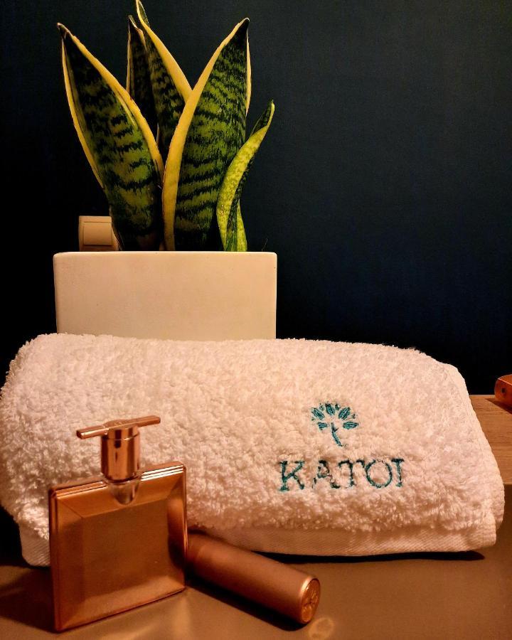 Katoi Traditional House Exo Khora Exterior foto